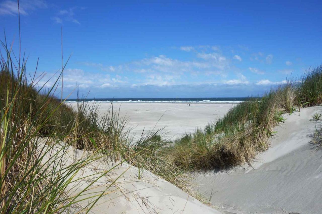 Vila Camping Oase, Zanddijk 75 Julianadorp Exteriér fotografie